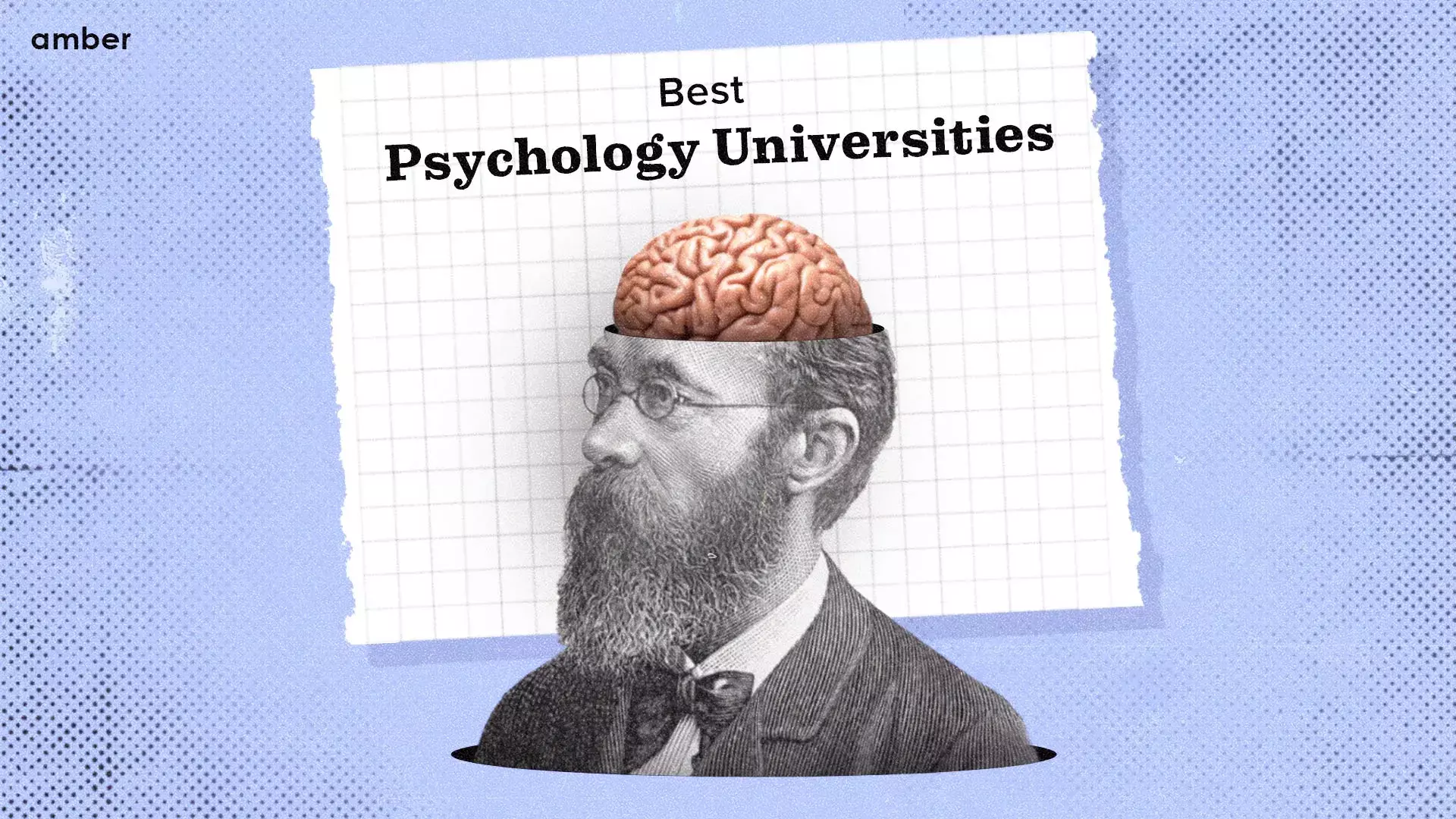 10 best psychology universities for psych majors amber